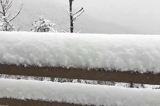 成都迎今年第一场雪 西岭雪山日月坪银装素裹