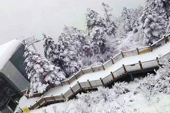 成都迎今年第一场雪 西岭雪山日月坪银装素裹